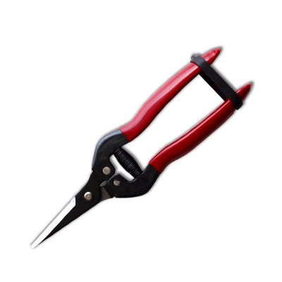 شراء مقصات الأجهزة SINSEUNG X3 مع طبقة صبغة سوداء قلوية على أطراف الشفرة التصنيع عبر الإنترنت