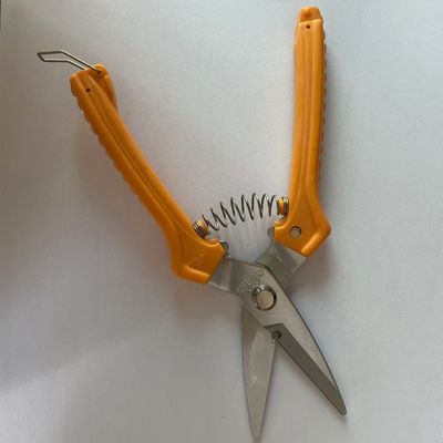 مقص المكتب المناسب مع بطاقة البثور
