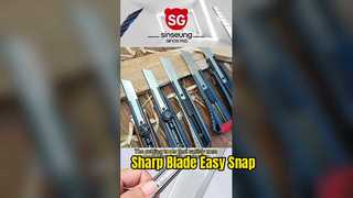 260114-1 فيديو سينسونغ